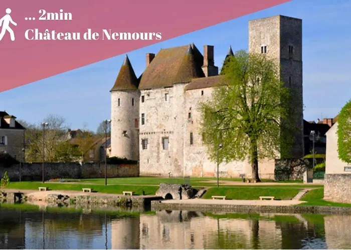 Appart Cosy Renove Avec Ac Hypercentre Nemours